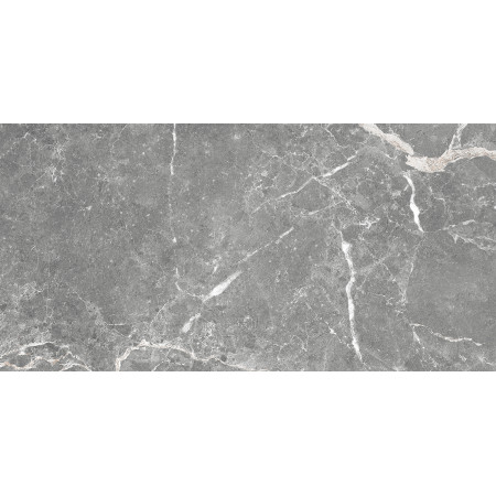 GT99VG Плитка облиц. Capella GT Сер. 50*25 _ 1 \74,25