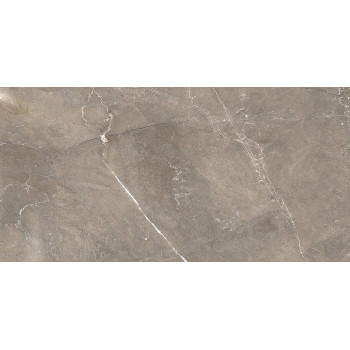 GT122VG Плитка облиц. Siluet GT Кор. 50*25 _ 1 \74,25