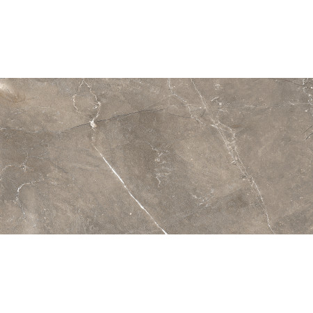 GT122VG Плитка облиц. Siluet GT Кор. 50*25 _ 1 \74,25