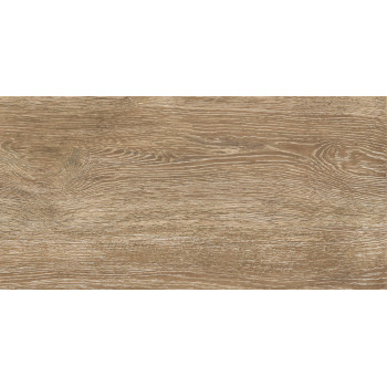 6260-0244-1031 Керамогранит Cosy_GT Кор. 30x60 _ 1\46,08