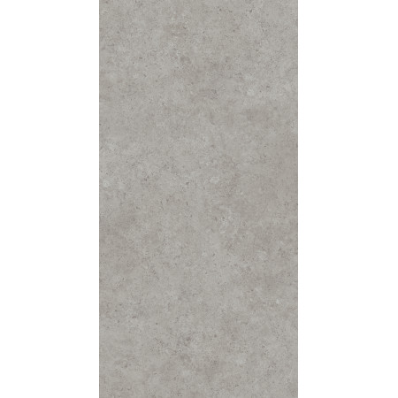 Керамогранит DD590600R Про Лаймстоун АТ серый натуральный обрезной R10 119,5х238,5