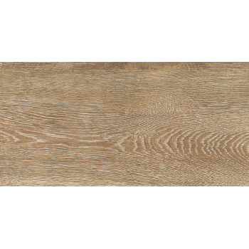 6260-0244-1031 Керамогранит Cosy_GT Кор. 30x60 _ 1\46,08