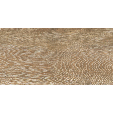 6260-0244-1031 Керамогранит Cosy_GT Кор. 30x60 _ 1\46,08