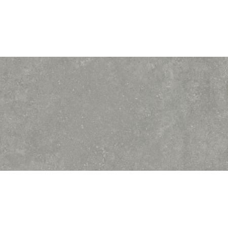 Керамогранит Granite Gloria Gray / Граните Глория Серый ASR 120x60