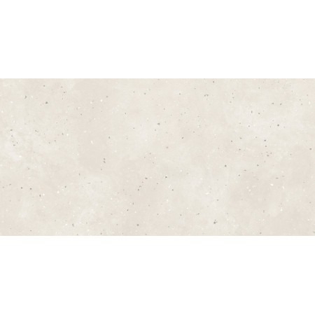 Керамогранит G-41 MR 60х120