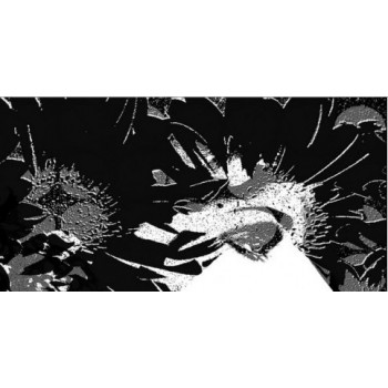 Плитка Дива ПН9ДВ2/PWU09DIV2 50х49,8