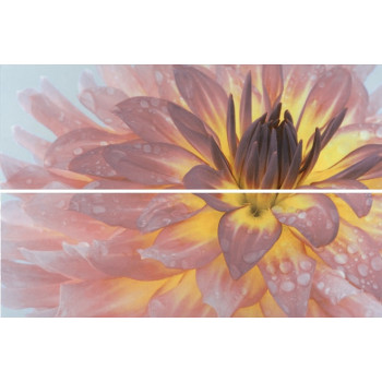 Плитка STG/A444/2x/12093R Панно Искья Цветы обрезной 50х75