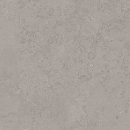 Керамогранит DD640900R Про Лаймстоун серый натуральный обрезной R10 60х60