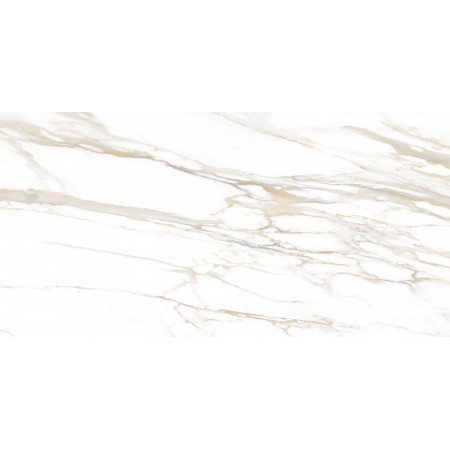 GT193VG Настенная плита Surprise_GT Бел. 30x60 _ 1\58,32