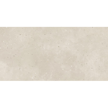 Керамогранит G-43 MR 60х120