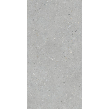 Керамогранит K947893R0001VTER Серый Матовый R10A Ректификат 60x120