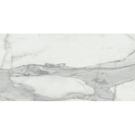 Керамогранит Invictus Natural Rectificado 60x120