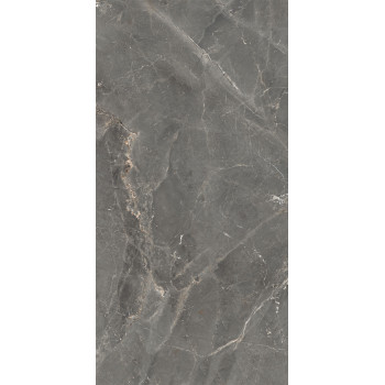 GT1206012109SPR Керамогранит Tulip_GT Темно-сер. 60x120 _ 1\46,08