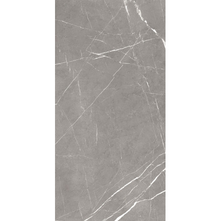 GT120603001MCR Плитка грес глаз. Encanto_GT Серый 60*120 карвинг_ 1 \43,2