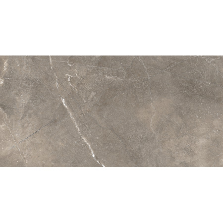 GT122VG Плитка облиц. Siluet GT Кор. 50*25 _ 1 \74,25