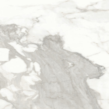 Керамогранит Invictus Natural 80x80