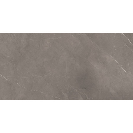 Керамогранит Splash Grey серый 60х120