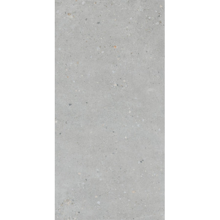 Керамогранит K947893R0001VTER Серый Матовый R10A Ректификат 60x120