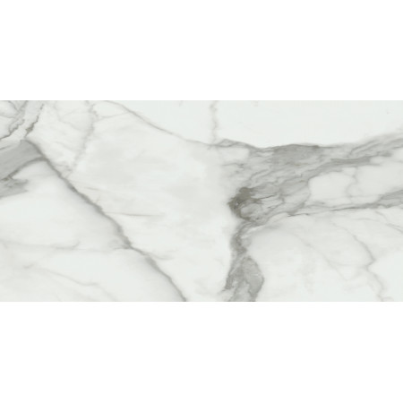 Керамогранит Invictus Natural Rectificado 60x120