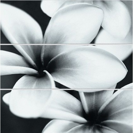 Плитка UG2U093D Universal Glass Flowers 75x75