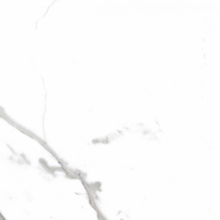 Керамогранит PR107 Salvatore Polished 600x600