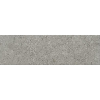 Плитка 9049 Борго серый матовый 8,5x28,5