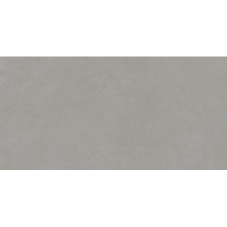 Керамогранит 610010002649 Rinascente Grey Rect R9 60x120