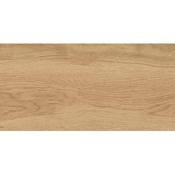 GT220VG Керамогранит Florida_GT Беж. 30x60  1\58,32