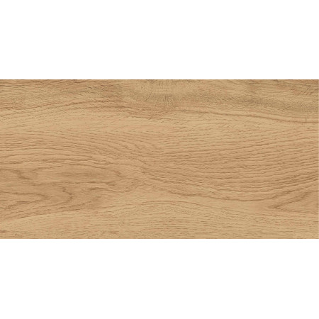 GT220VG Керамогранит Florida_GT Беж. 30x60  1\58,32