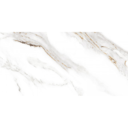 GT97VG Плитка облиц. Capella GT Бел. 50*25 _ 1 \74,25