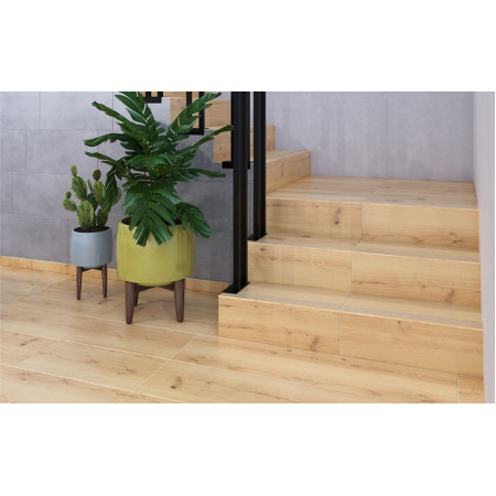 Ступени A-WS4O526J Woodhouse ступень светло-серый 29,7х59,8