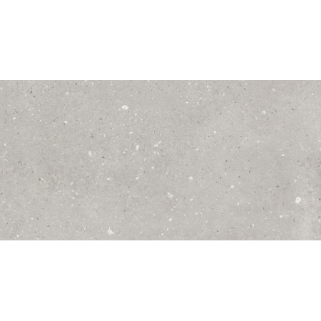 Керамогранит 16545 Concretehouse Светло-серый 59,8x29,7
