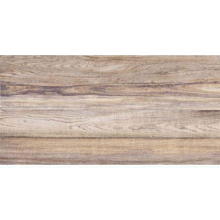 Плитка TWU09DBL404 Dublin 249*500*7.5