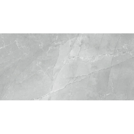Керамогранит 60120AMB15P Armani Marble Gray 60x120
