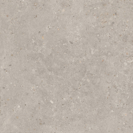 Керамогранит SG653720R Риккарди серый светлый матовый обрезной 60x60