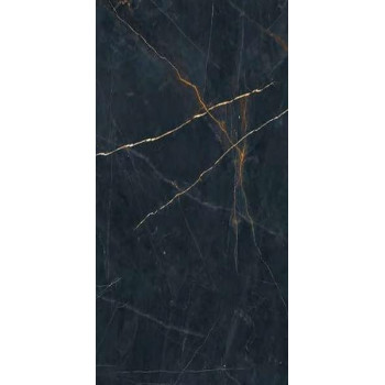 Керамогранит Precious Black Antique 3D 60x120