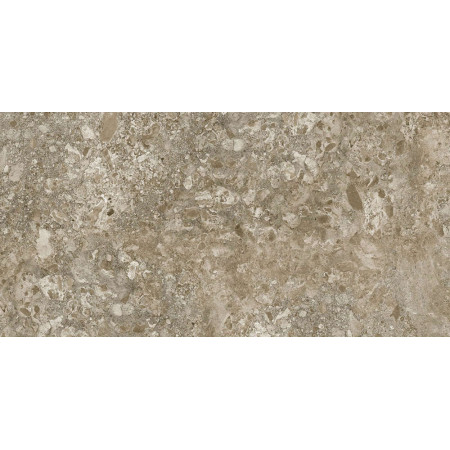 Керамогранит Lunar Brown / Лунар Коричневый LR 120x60