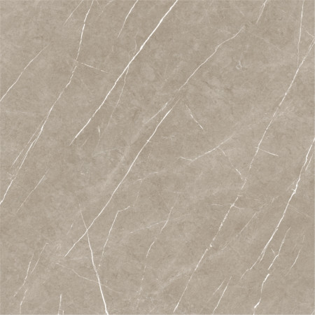 Керамогранит Eternal Taupe Natural 120x120