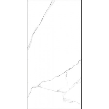 GT120600203MR Плитка грес глаз. Marmo_GT Белый 60*120 _ 1 \43,2