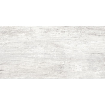 GT223VG Керамогранит Storm_GT светло-сер. 30x60  1\58,32