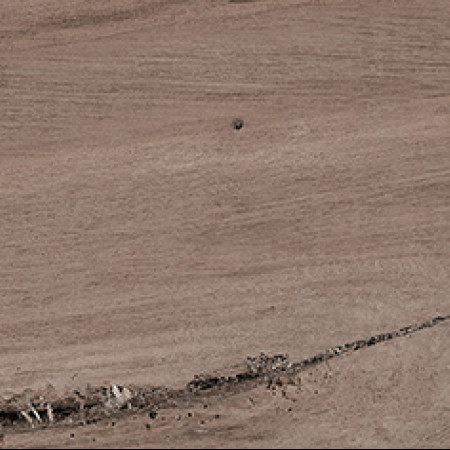 Керамогранит David коричневый 14,7х59,4