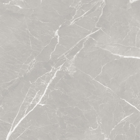 10GCRGCL0064 Керамогранит Carolina_GT Серый 60x60 _ 1\43,2