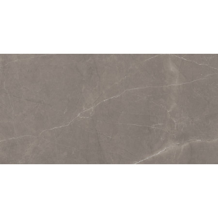 Керамогранит Splash Grey серый 60х120