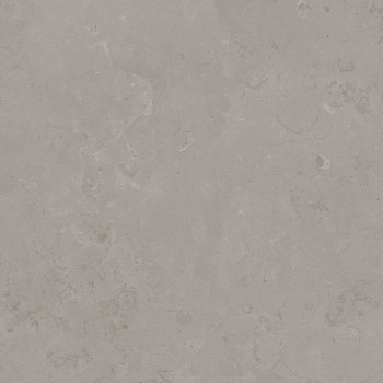 Керамогранит DD640920R Про Лаймстоун серый натуральный обрезной 60х60