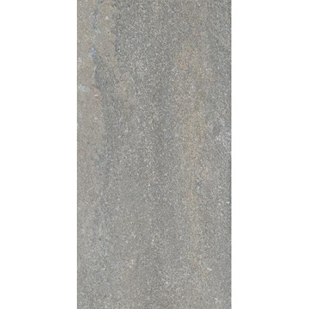 Керамогранит DD204300R Про Нордик серый светлый натуральный обрезной 30*60