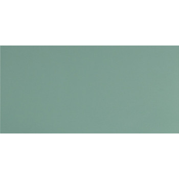 Керамогранит UF029 (мурена моноколор) матовый ректифицированный 120х60