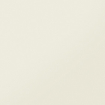 Керамогранит MONOCOLOR CF 101 White / МОНОКОЛОР СF 101 Белый MR 60x60